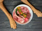 Wątróbka dla szczeniaka: jak podać, by nie zaszkodzić?