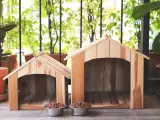 Jak zbudować idealną budę dla psa? Poradnik DIY krok po kroku