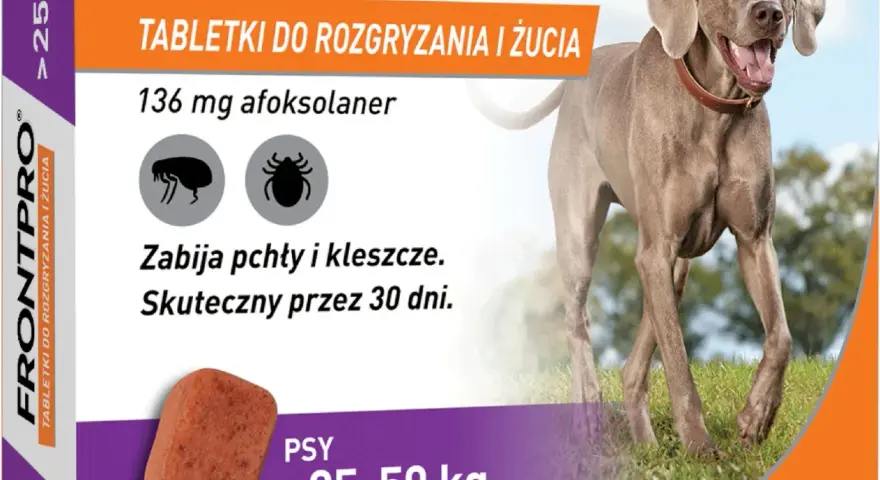 Jakie tabletki na kleszcze dla psa? Wybierz najlepsze i bezpieczne!