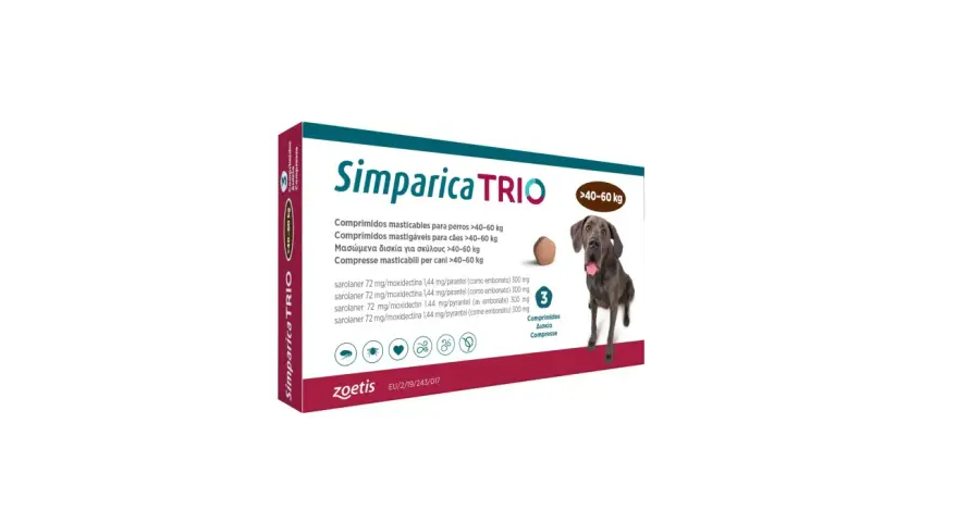 Tribiotic dla psa? Zanim użyjesz: ryzyko i bezpieczne alternatywy