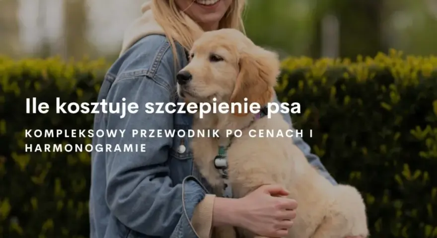 Ile kosztuje szczepienie szczeniaka? Pełny cennik i kalendarz 2024
