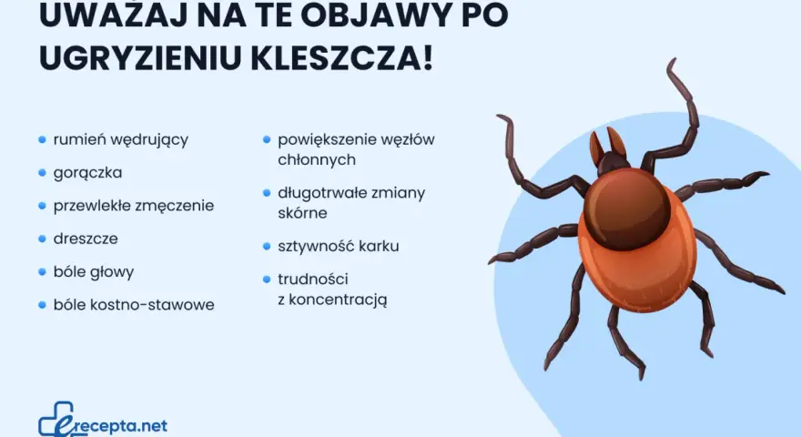 Kleszcz: Jak usunąć bezpiecznie i uniknąć chorób?