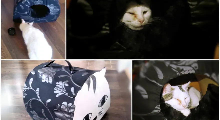 Jak zbudować domek dla kota? DIY: ciepły azyl krok po kroku