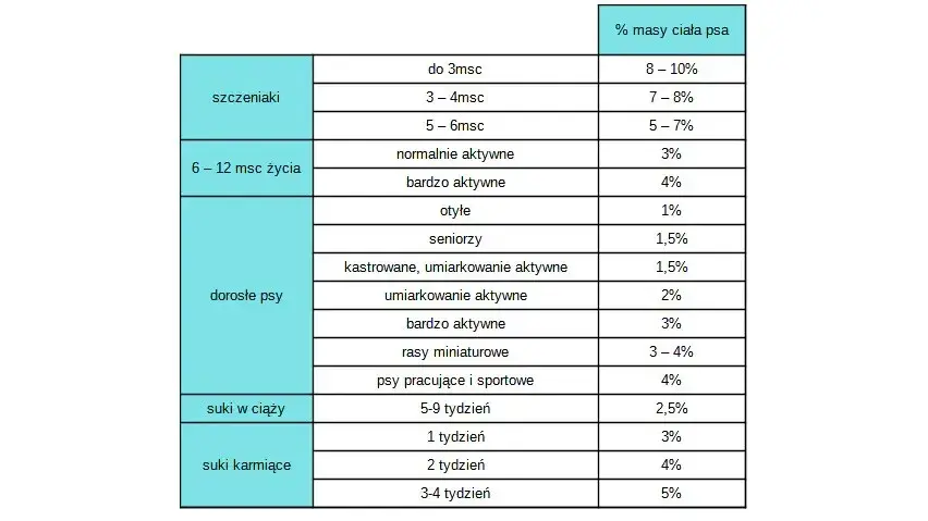 Co gotować szczeniakowi? Zdrowa dieta krok po kroku + czego unikać